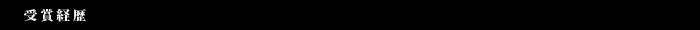 受賞経歴